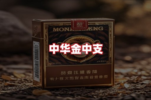 中华金中支